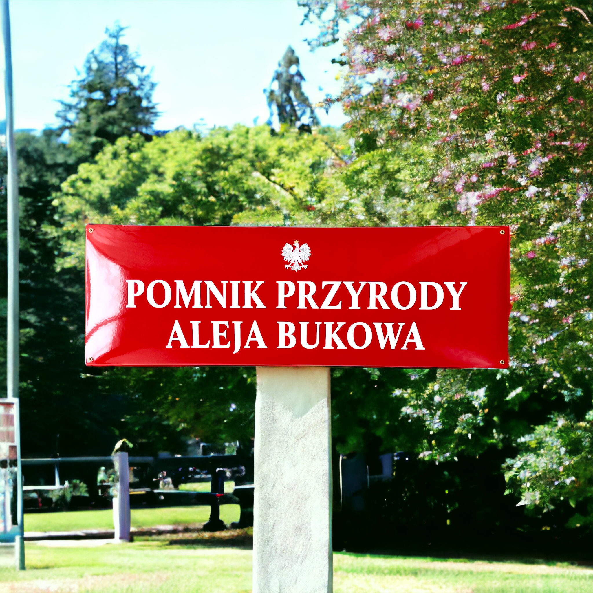 klasyczna tablica pomnik przyrody